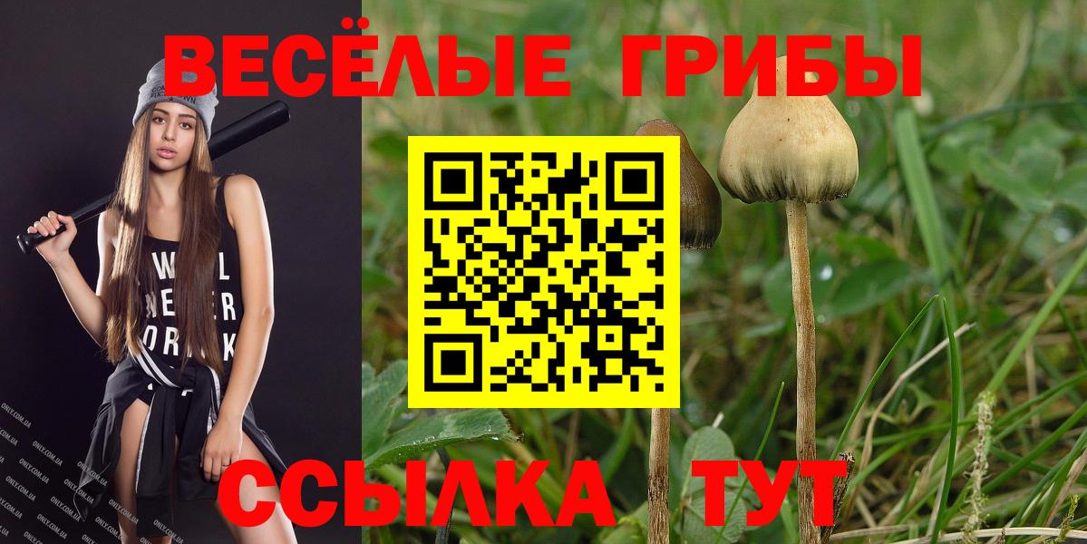 Псилоцибиновые грибы Cubensis Костомукша